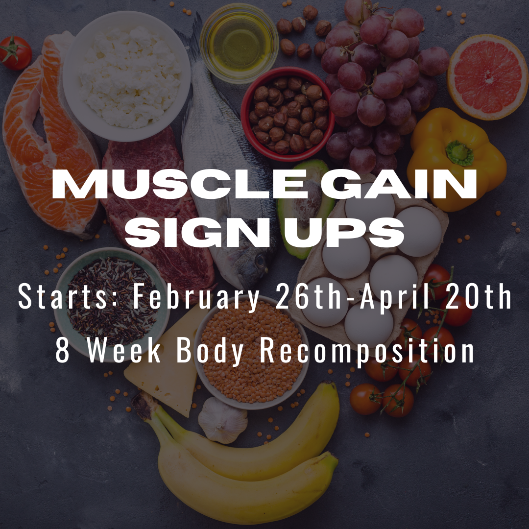 MUSCLE GAIN GROUP - NUTRITION CHALLENGE
